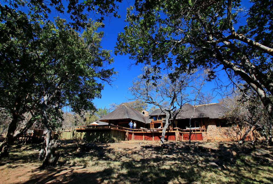 Tsheshepe Safari Lodge - Welgevonden Game Reserve, South Africa