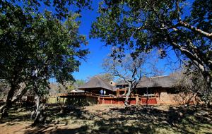 Tsheshepe Safari Lodge - Welgevonden Game Reserve, South Africa