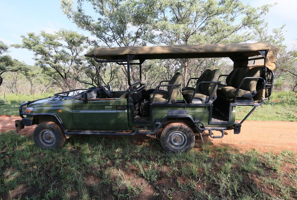 Tsheshepe Safari Lodge - Welgevonden Game Reserve, South Africa