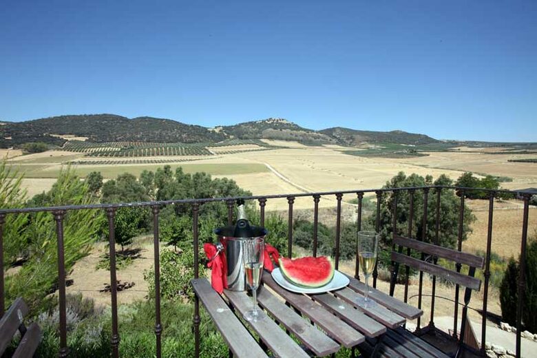 Rural Andalucian Chic ... at its Best ! - Ronda, Spain