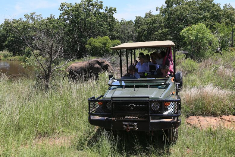 Tsheshepe Safari Lodge - Welgevonden Game Reserve, South Africa