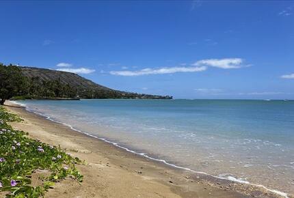 Ocean Beachfront Banyan Tree Beach House - Honolulu, Oahu, Hawaii