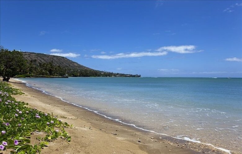 Ocean Beachfront Banyan Tree Beach House - Honolulu, Oahu, Hawaii