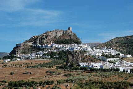 Rural Andalucian Chic ... at its Best ! - Ronda, Spain