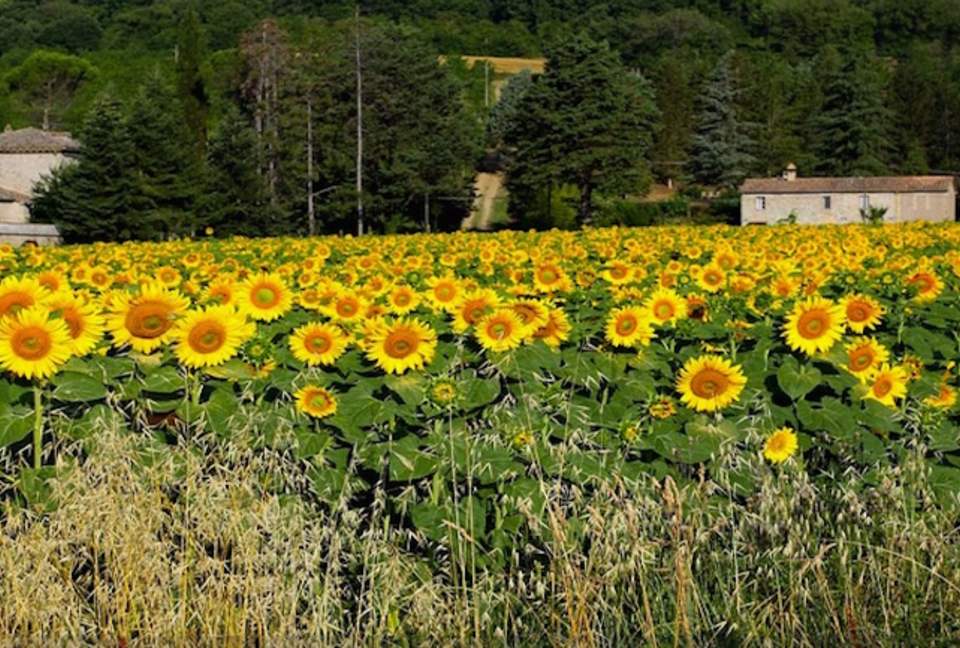 Villa Cavagnetti - Pietralunga, Italy