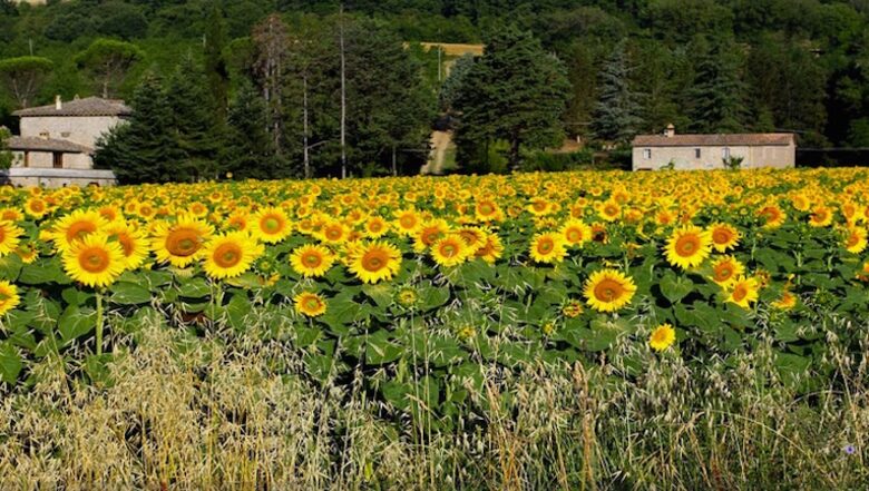 Villa Cavagnetti - Pietralunga, Italy
