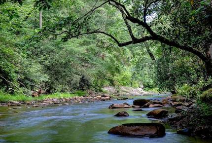 Creek Front Mountain Retreat - Hayesville, North Carolina