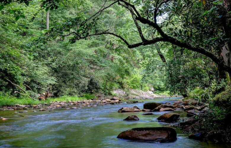 Creek Front Mountain Retreat - Hayesville, North Carolina