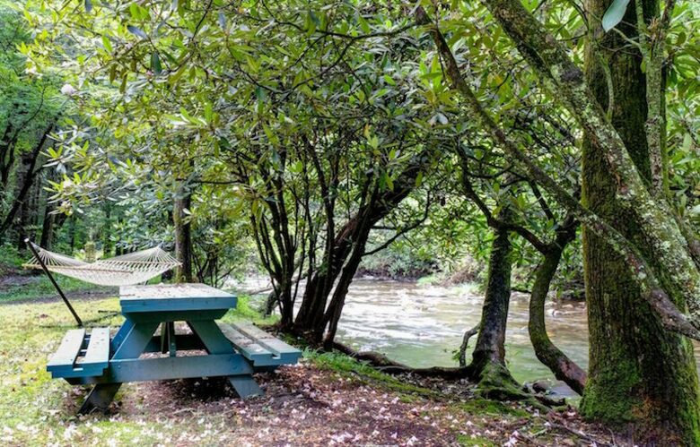 Creek Front Mountain Retreat - Hayesville, North Carolina