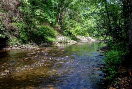 Creek Front Mountain Retreat - Hayesville, North Carolina