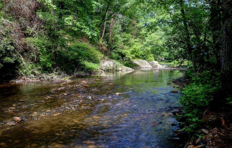 Creek Front Mountain Retreat - Hayesville, North Carolina