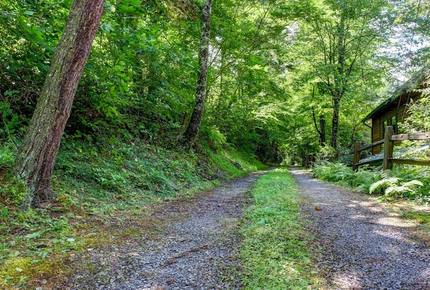 Creek Front Mountain Retreat - Hayesville, North Carolina