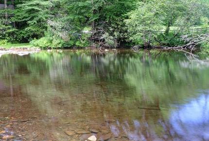 Creek Front Mountain Retreat - Hayesville, North Carolina