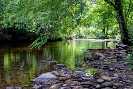 Creek Front Mountain Retreat - Hayesville, North Carolina