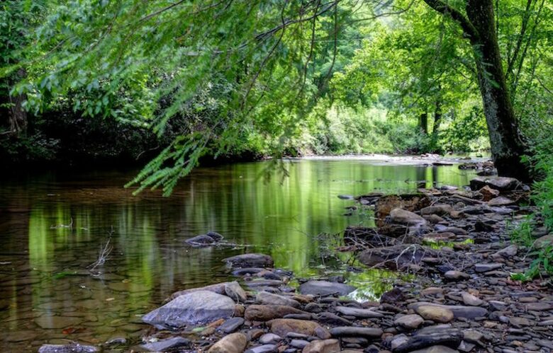 Creek Front Mountain Retreat - Hayesville, North Carolina