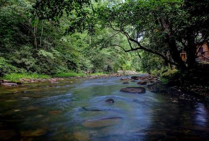 Creek Front Mountain Retreat - Hayesville, North Carolina