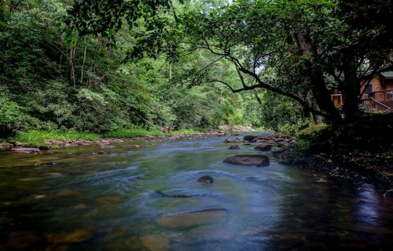 Creek Front Mountain Retreat - Hayesville, North Carolina
