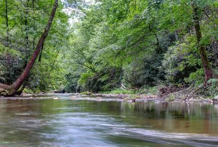 Creek Front Mountain Retreat - Hayesville, North Carolina