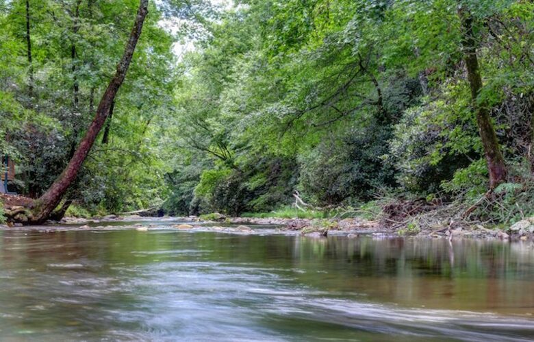 Creek Front Mountain Retreat - Hayesville, North Carolina