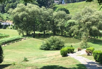 Sugar Grove Estate - Sugar Grove, North Carolina