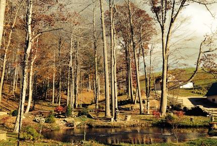 Sugar Grove Estate - Sugar Grove, North Carolina