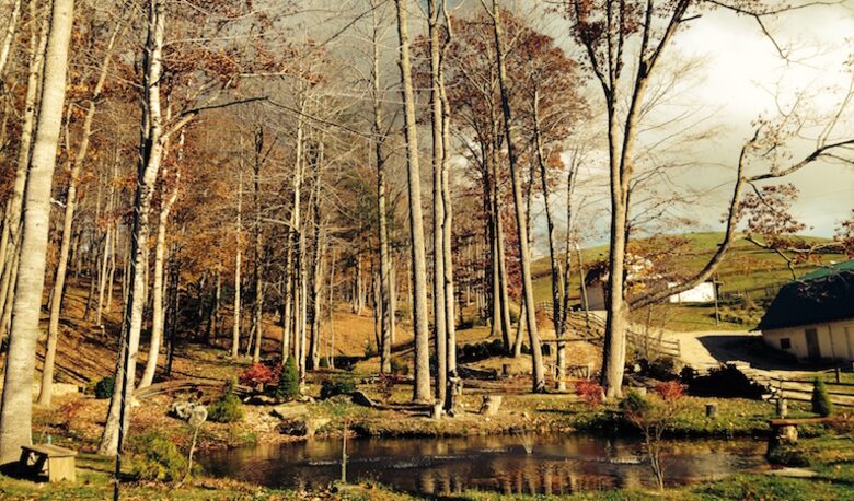 Sugar Grove Estate - Sugar Grove, North Carolina