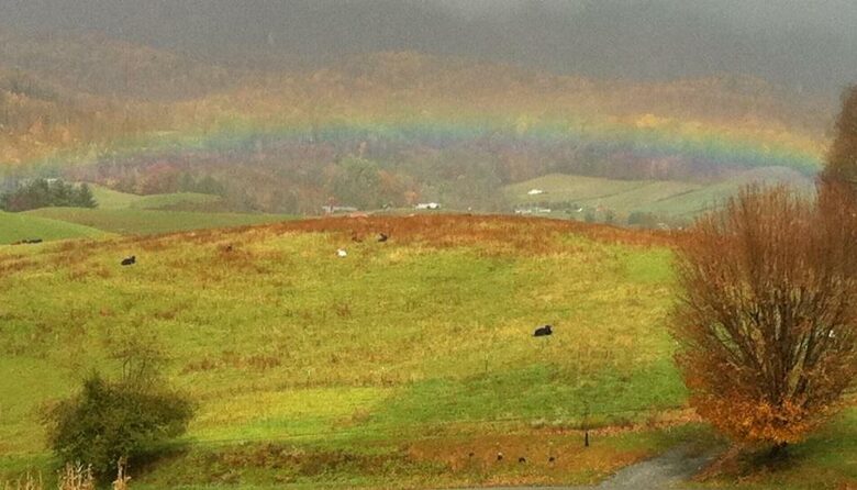 Sugar Grove Estate - Sugar Grove, North Carolina