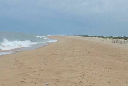 Amagansett in the Lanes - Amagansett, New York