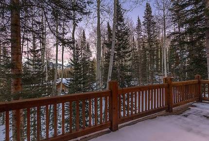 Mountain Village Ski Home - Telluride Mountain Village, Colorado
