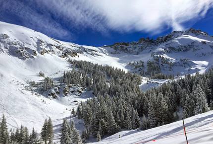 Mountain Village Ski Home - Telluride Mountain Village, Colorado