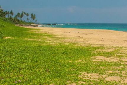 The Penthouse Suite at Amba Ayurveda Boutique Hotel - Balapitiya, Sri Lanka