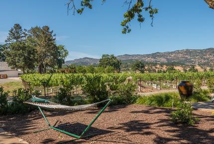 Silver Spur Vineyard - Napa, California
