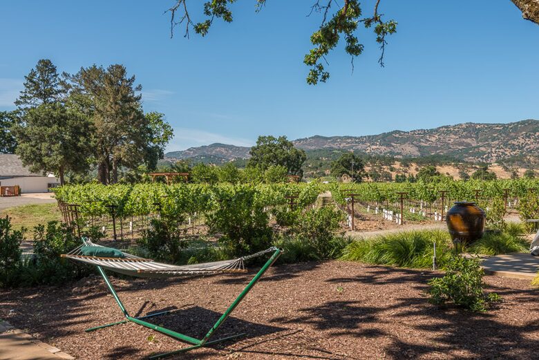 Silver Spur Vineyard - Napa, California