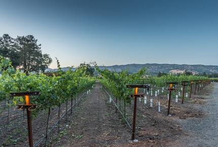 Silver Spur Vineyard - Napa, California