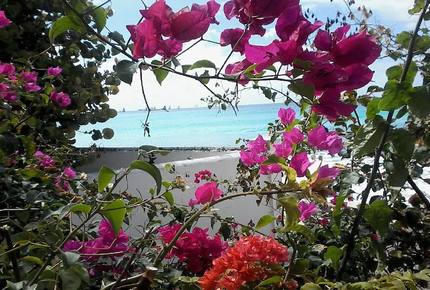 Point Blue Home - Cole Bay, Sint Maarten (Dutch part)