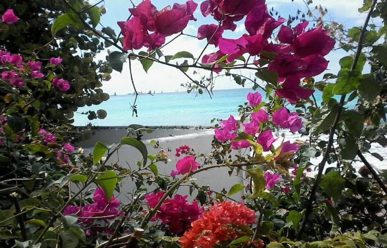 Point Blue Home - Cole Bay, Sint Maarten (Dutch part)