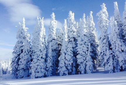Paradise Point at Bear Lake - Fish Haven, Idaho