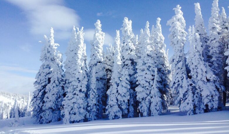 Paradise Point at Bear Lake - Fish Haven, Idaho