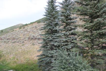 The Lodges at Deer Valley #3313 - Park City, Utah