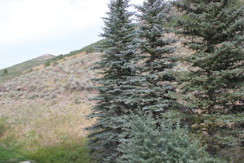 The Lodges at Deer Valley #3313 - Park City, Utah