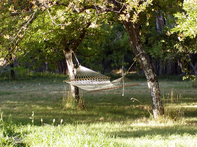 Ranch House on 880-acre Ranch in Argentine Lake District - Villa Lago Rivadavia, Argentina