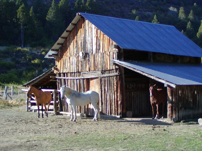 Gorgeous 880 Acre Argentina Ranch - Villa Lago Rivadavia, Argentina