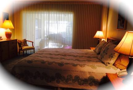 Idyllic Beachfront in Unique Casey Key - Osprey, Florida