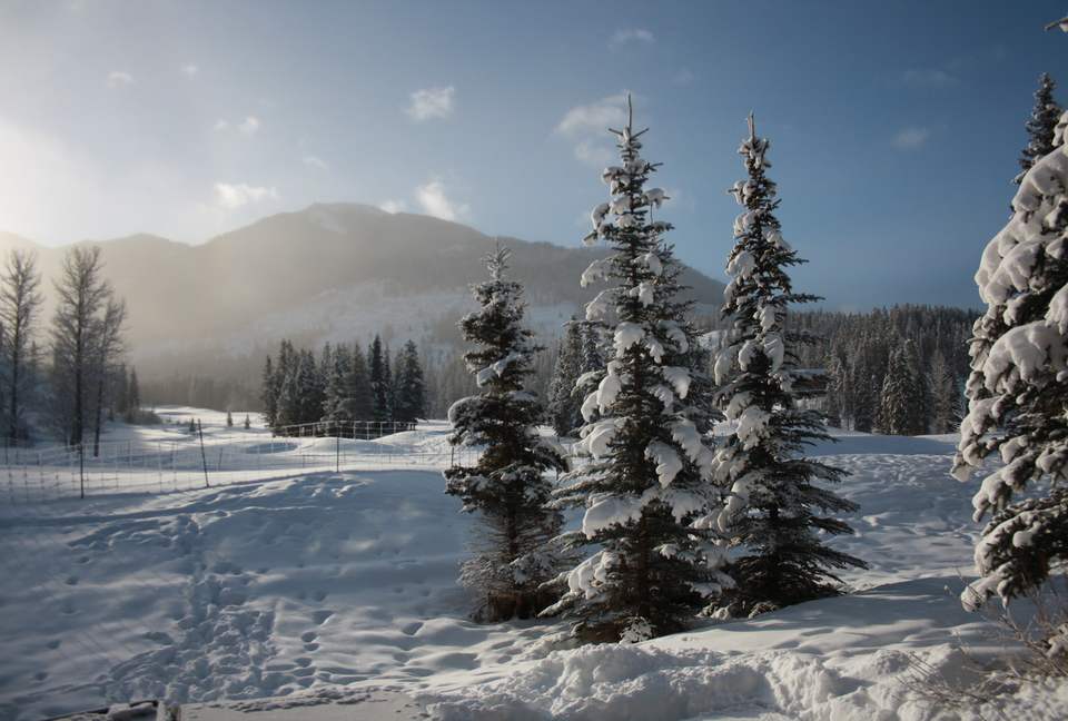 Lone Wolf Chalet Panorama Mountain - Panorama, Canada