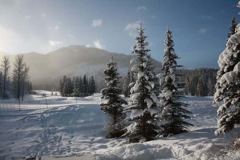 Lone Wolf Chalet Panorama Mountain - Panorama, Canada