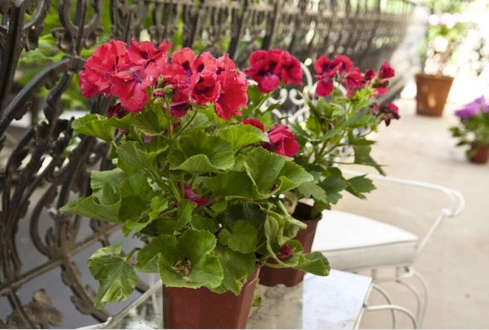 Art House 3 - Buenos Aires, Argentina