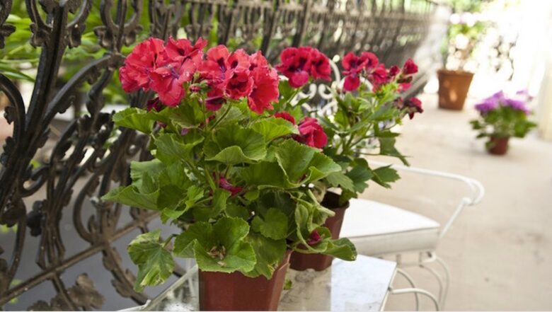 Art House 3 - Buenos Aires, Argentina