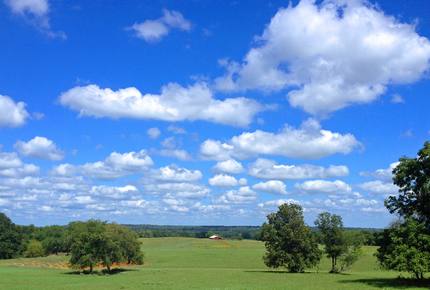 Circle M Ranch - Jewett, Texas
