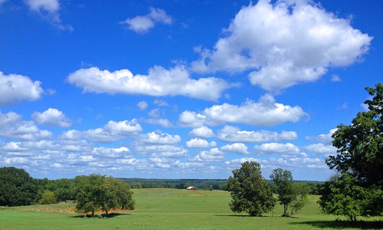 Circle M Ranch - Jewett, Texas