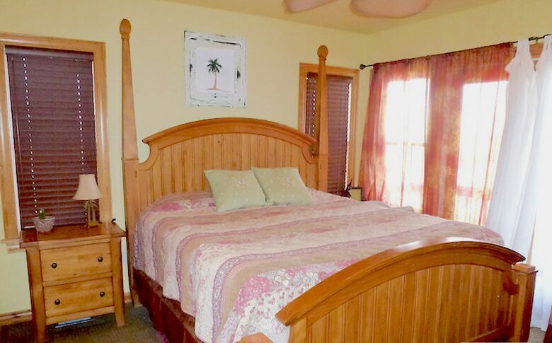 Stargazer Oceanside Home in Carova Beach - Outer Banks - Corolla, North Carolina